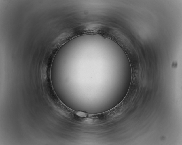 X0000098140504200804171551