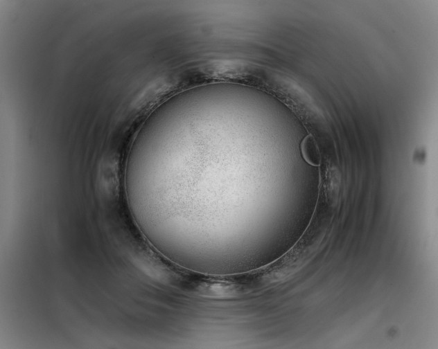 X0000098140506200804171550