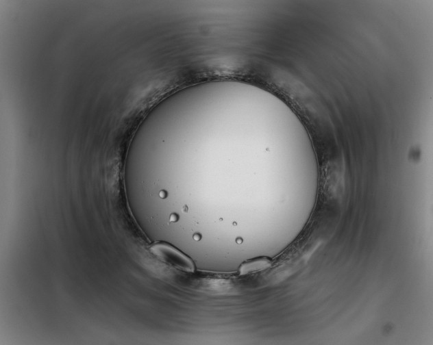 X0000098140509200804171550