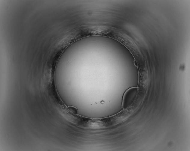 X0000098140510200804171550