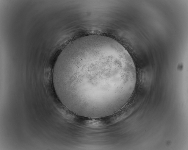 X0000098140511200804171550