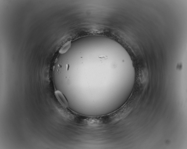 X0000098140512200804171550