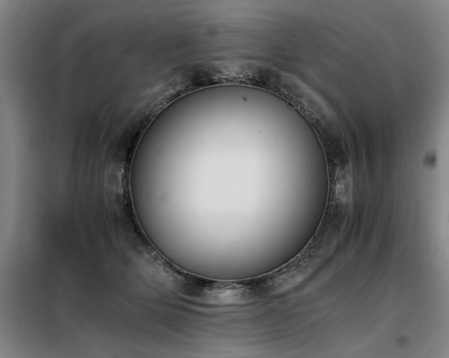 X0000098140514200804171550