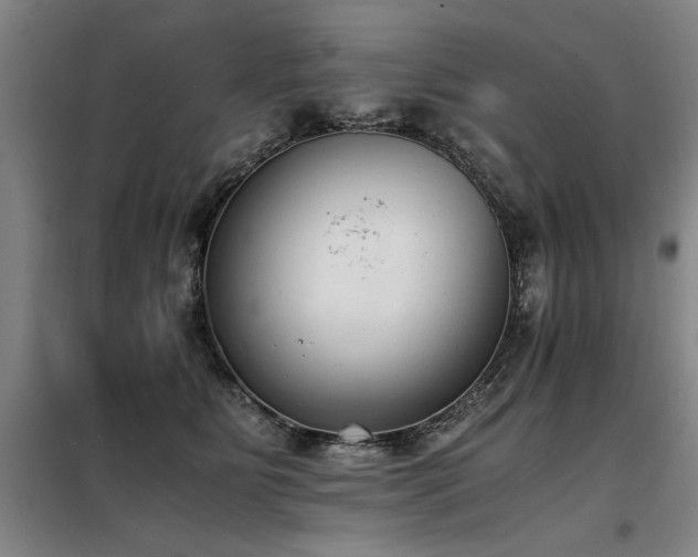 X0000098140515200804171550