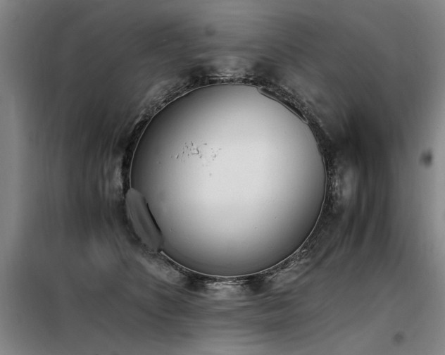 X0000098140516200804171550