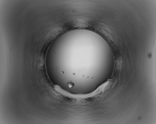 X0000098140517200804171550