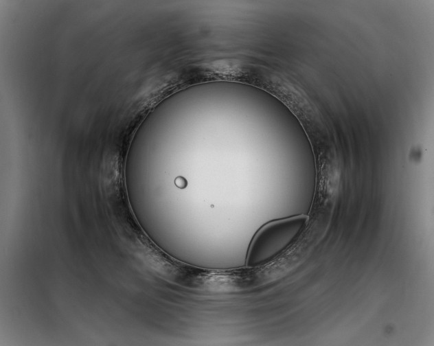 X0000098140518200804171550