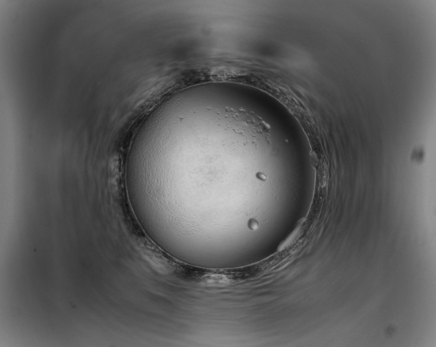 X0000098140519200804171550