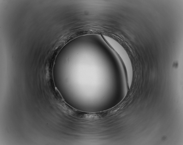 X0000098140520200804171550