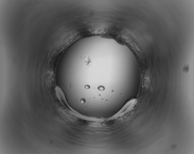 X0000098140521200804171550