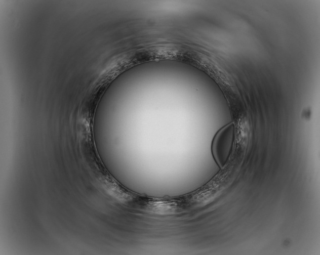 X0000098140522200804171550