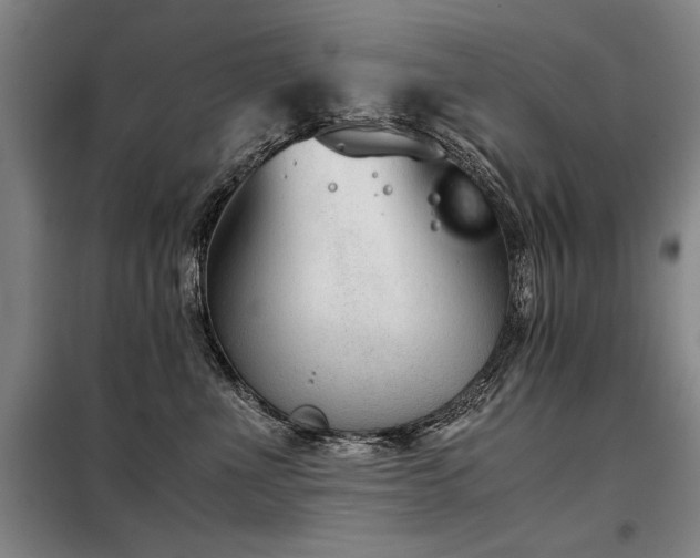 X0000098140523200804171550