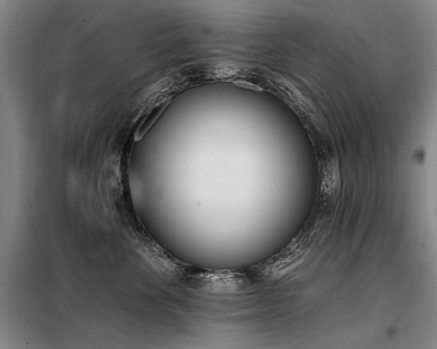 X0000098140524200804171550