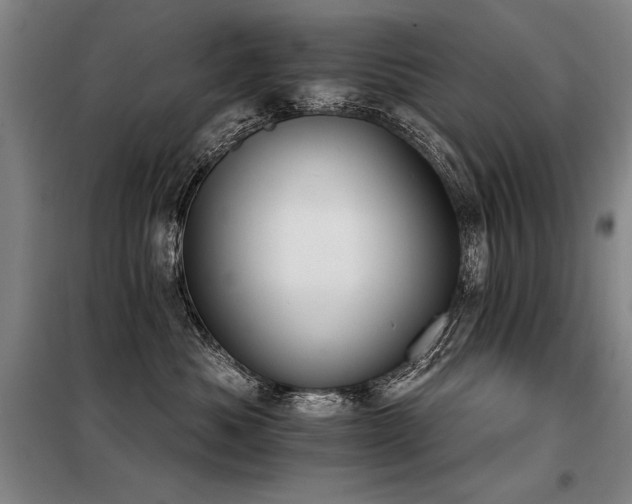 X0000098140525200804171550