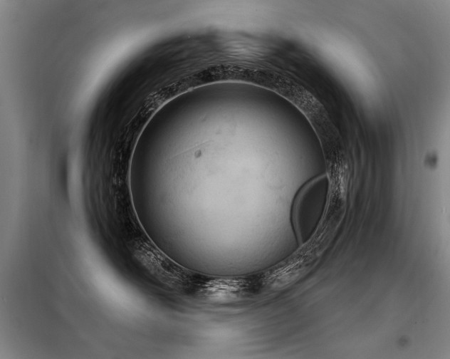 X0000098140526200804171550