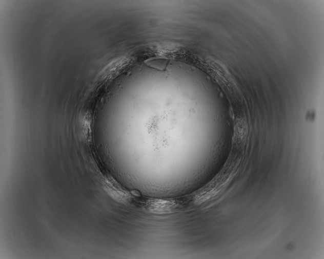 X0000098140527200804171550