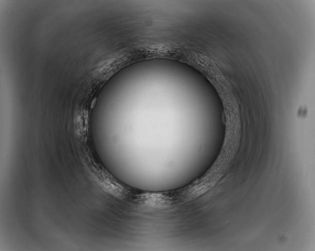 X0000098140528200804171550