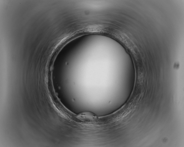 X0000098140530200804171549