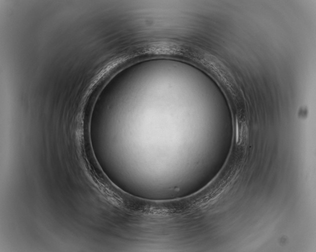 X0000098140531200804171549