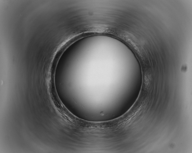 X0000098140532200804171549