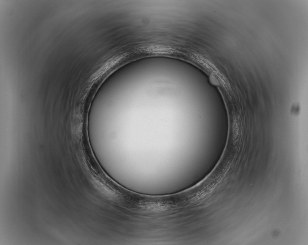 X0000098140533200804171549