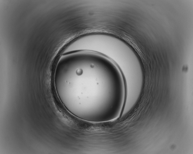 X0000098140534200804171549