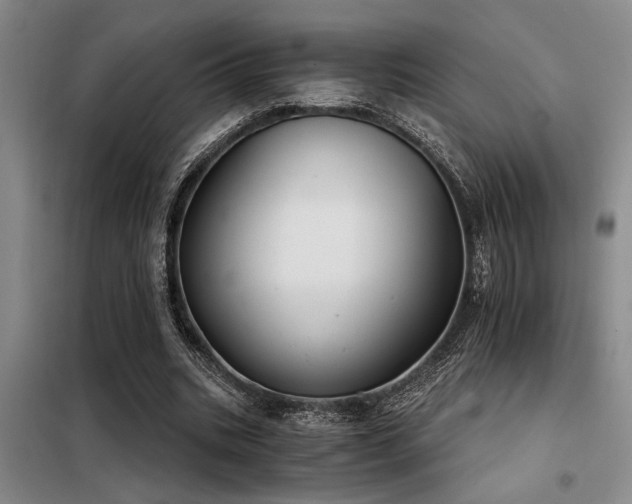 X0000098140535200804171549