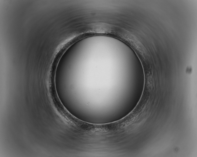 X0000098140536200804171549