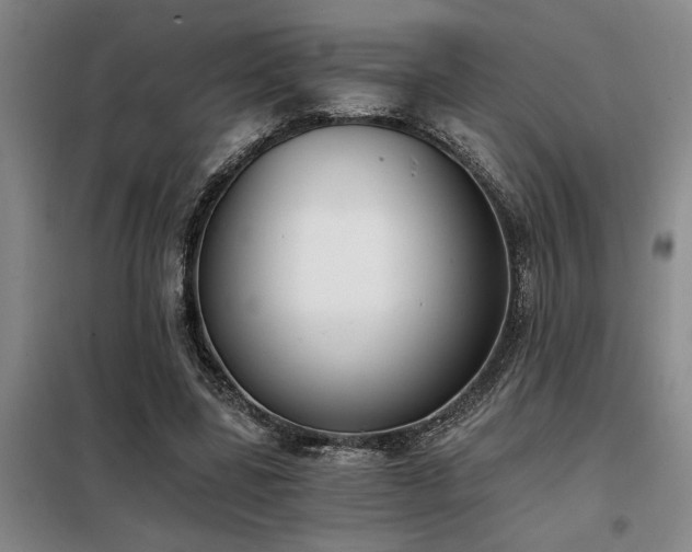 X0000098140539200804171549