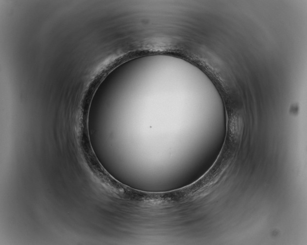 X0000098140540200804171549