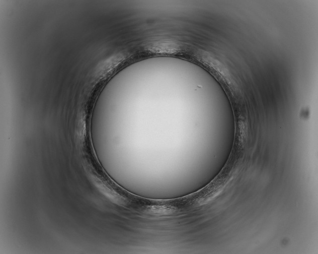 X0000098140541200804171549