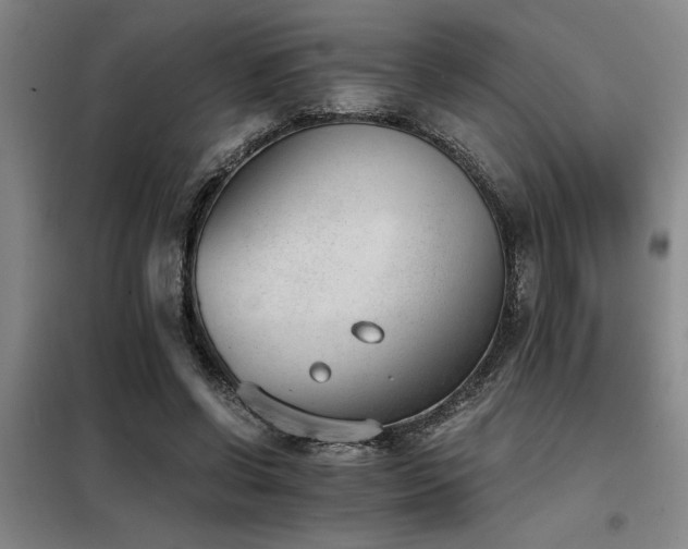 X0000098140542200804171549
