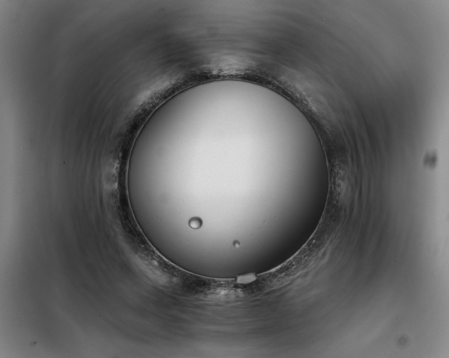X0000098140543200804171549