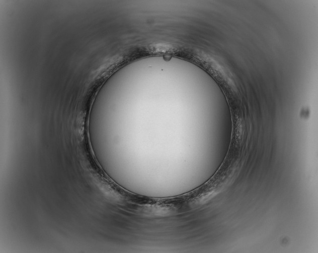 X0000098140545200804171549