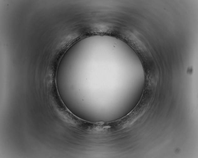 X0000098140546200804171549
