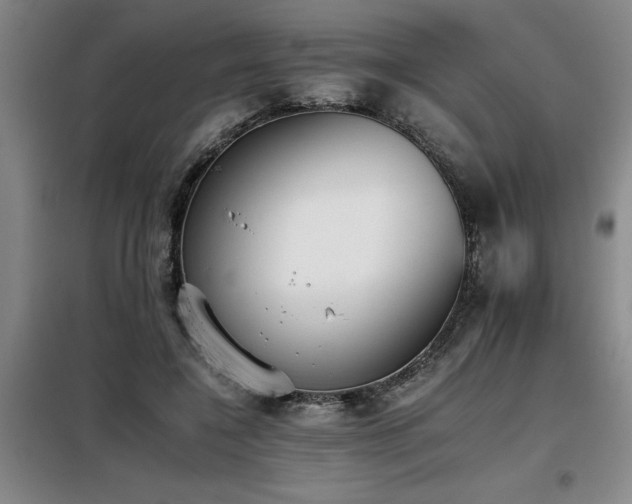 X0000098140548200804171549