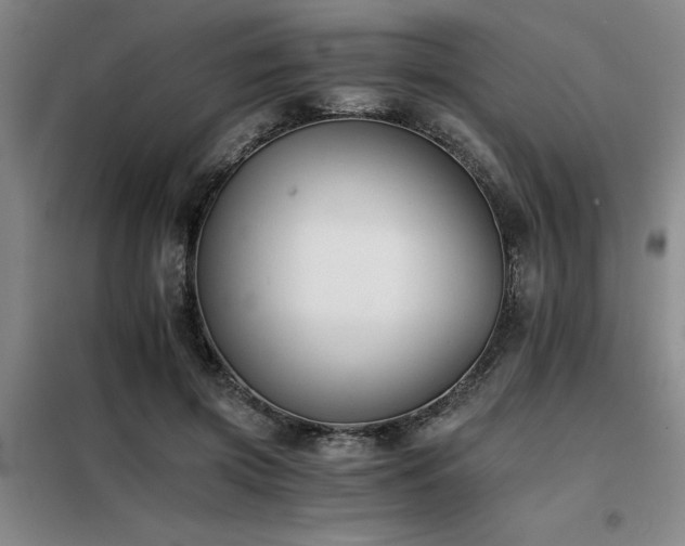 X0000098140549200804171549