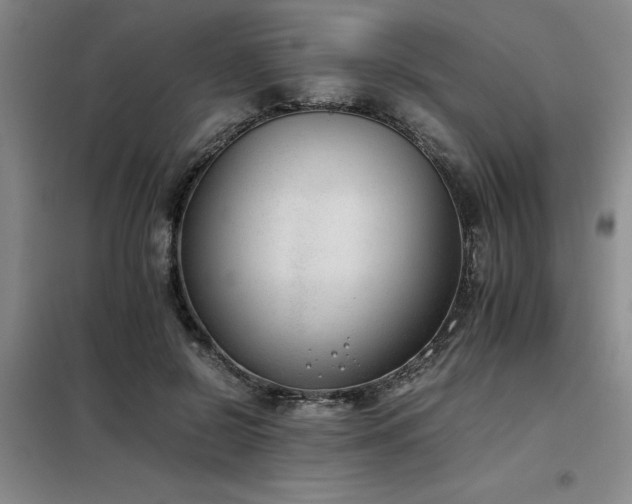 X0000098140550200804171549