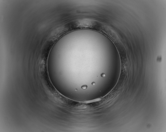X0000098140551200804171549