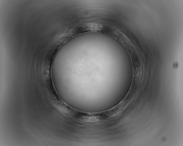 X0000098140553200804171550