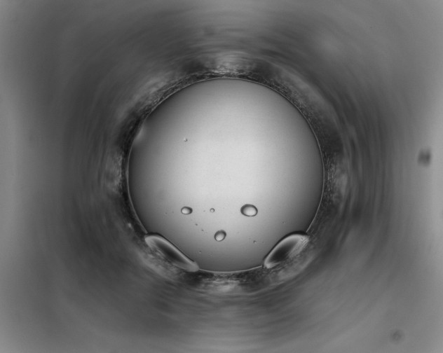X0000098140554200804171550