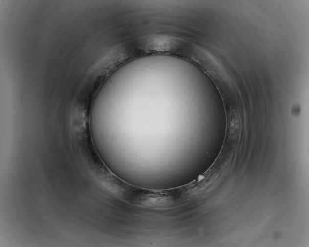 X0000098140555200804171550