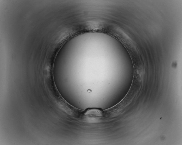X0000098140556200804171550