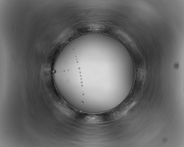 X0000098140557200804171550