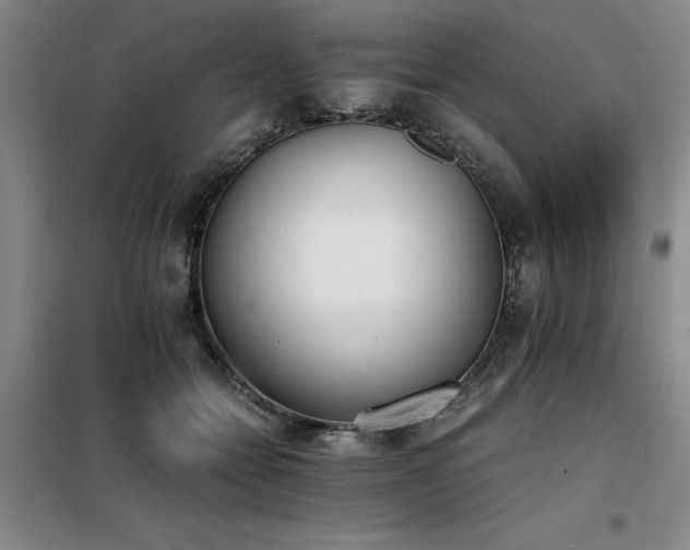 X0000098140558200804171550