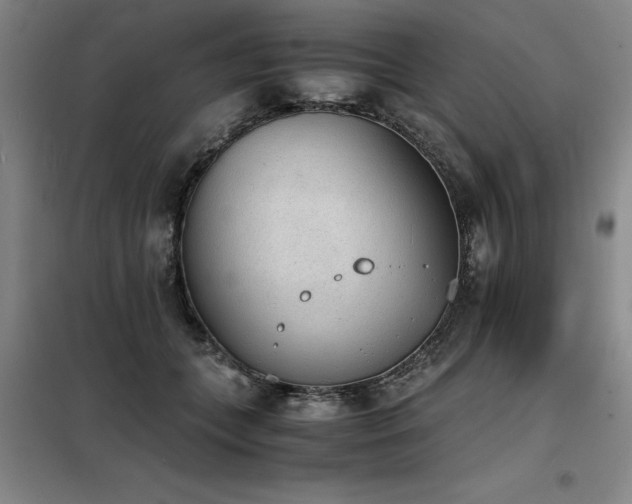 X0000098140559200804171550