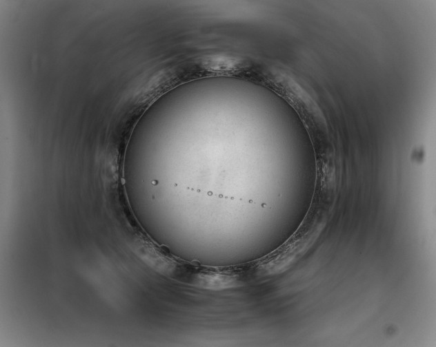 X0000098140561200804171550