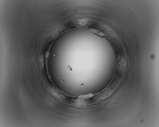 X0000098140562200804171550