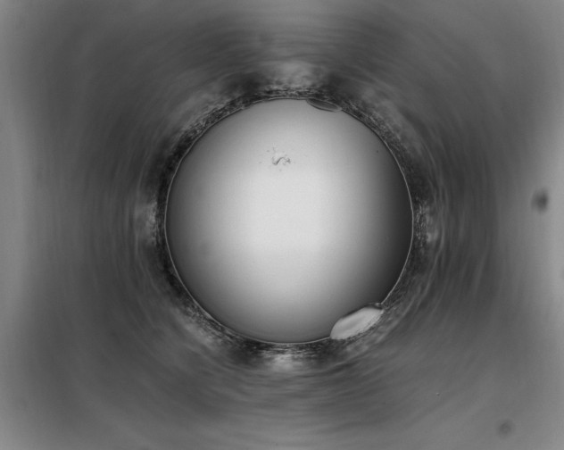 X0000098140564200804171550