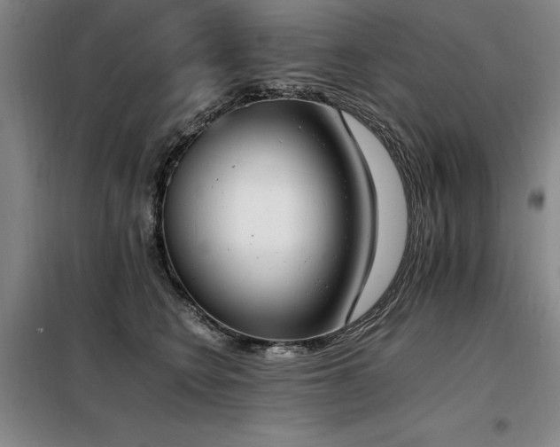 X0000098140566200804171550